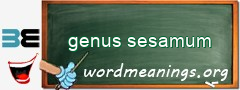 WordMeaning blackboard for genus sesamum